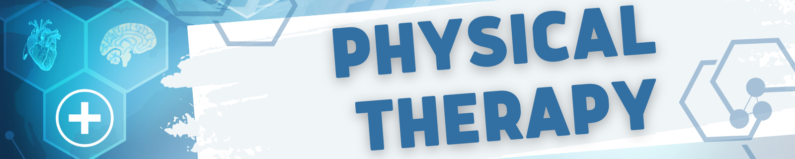 Physical Therapy Banner